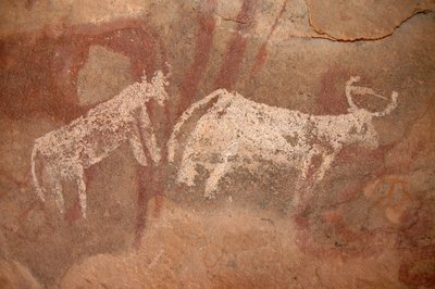 Rotstekeningen, Prehistorie: Rotsschildering van witte en tweekleurige runderen in een versierd onderkomen, in het Uweinat-massief, Soedan (Karkur-Talh of Karkur Talh). Periode van 8000 tot 3000 jaar v.Chr. Fotografie door Unbekannt