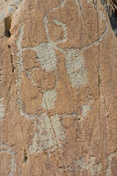 Rotstekeningen van de Vallee de Fontanalba/Corniformes emboites of vee/Mercantour Nationaal Park/Tende/Alpes-Maritimes/Frankrijk door Unbekannt