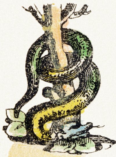 S - Slang - Kindervermaak Alfabet c.1890 door Unbekannt