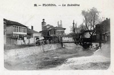 Servië, Florina (hedendaags Griekenland): uitzicht op de Sukulina - Ansichtkaart 1914-1918 door William M. Timlin