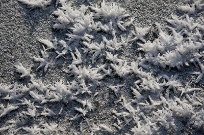 Sneeuw en IJs door Unbekannter Künstler
