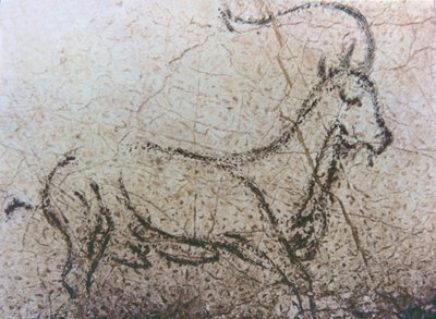 Spaanse geit, Paleolithische periode, ca. 40000-12000 v.Chr. (rots schildering) door Unbekannter Künstler
