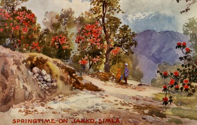 Lente op Jahko, Simla, India door Unbekannter Künstler