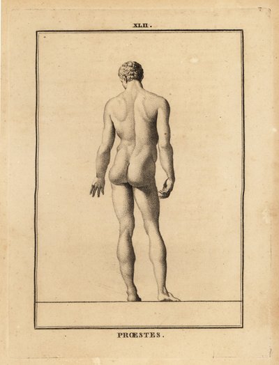 Standbeeld van Orestes, naakt, zoon van Agamemnon in de Griekse mythologie door Unbekannt