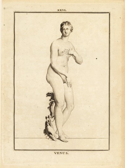Standbeeld van Venus, Romeinse godin van liefde, schoonheid, seks en vruchtbaarheid door Unbekannt