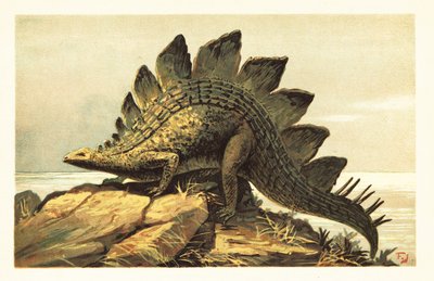 Stegosaurus, uitgestorven geslacht van herbivore dinosaurussen door Unbekannter Künstler