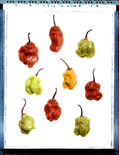 Stilleven van gele, rode en groene paprika