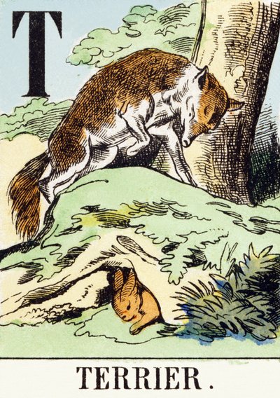 T: Terrier - Het Jachtalfabet, ca. 1890 (gravure) door Unbekannt