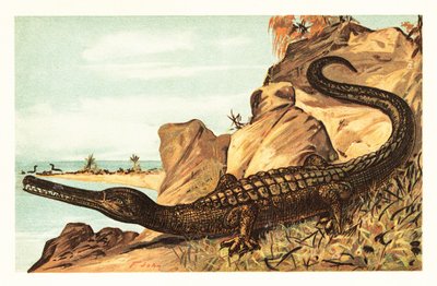 Teleosaurus cadomensis, uitgestorven soort mariene krokodil door Unbekannter Künstler