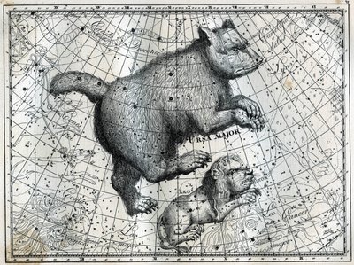 De boreale sterrenbeelden: de Grote Beer en de Kleine Leeuw. Gravure uit Camille Flammarion