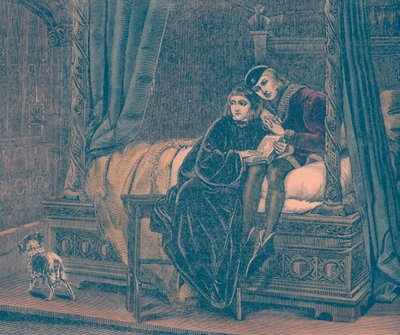 De Prinsen in de Toren door Unbekannter Künstler