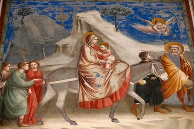 De Scrovegni-kapel door Unbekannter Künstler