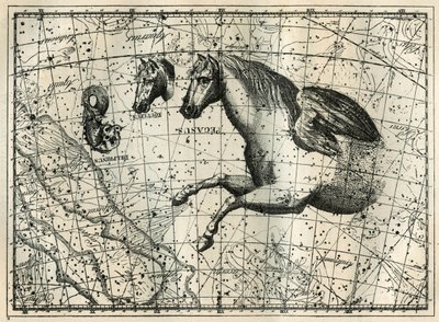 Het sterrenbeeld Pegasus, getekend als de voorste helft van een paard met een paar vleugels, het Kleine Paard, een paardenhoofd, en de Dolfijn. Gravure uit 