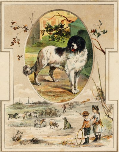 De hond (uit Mon premier Grand Alphabet) door Unbekannt