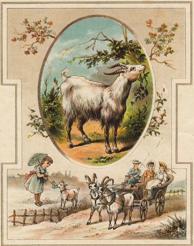 De geit. Gravure in "Mon premier Grand Alphabet". Bernardin-Bechet Edition, Parijs, circa 1890. Illustraties door A. des Lilleuls. door Unbekannt
