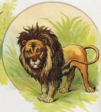 De leeuw (uit ABC L