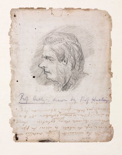 Thomas Henry Huxley, Engelse bioloog, midden-late 19e eeuw door Unbekannt