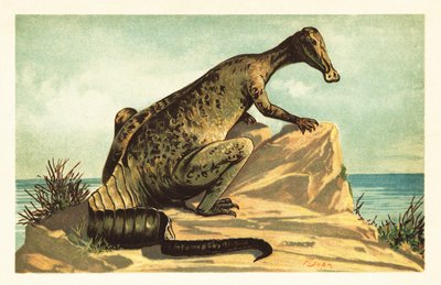 Trachodon mirabilis, uitgestorven hadrosauriër door Unbekannter Künstler