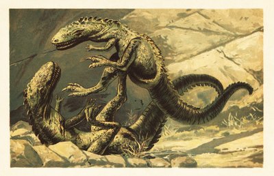 Twee vechtende Dryptosaurus aquilunguis. 1908 (lithografie) door Unbekannter Künstler