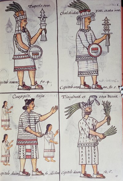 Tzapotlatena, Chalchiuhtlatonal, Cioapipitli en Tliltecuhtli, Florentijnse Codex, tweetalige versie in Spaans en Nahuatl, Algemene Geschiedenis van de Dingen van Nieuw-Spanje (Historia general de las cosas de Nueva Espana), Azteeks door William M. Timlin