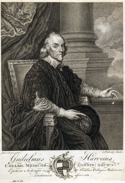 William Harvey, Engelse arts door Unbekannt