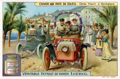 Winter in de zon: Bloemenparade in Bordighera, Italië door Unbekannter Künstler