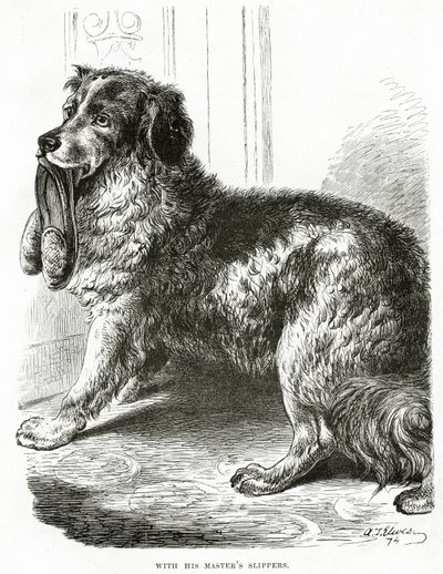 Met de pantoffels van zijn meester (1902) door Unbekannt