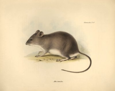 Zoölogie: De 