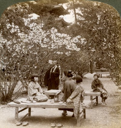 Een familie geniet van een picknick onder de kersenbloesems, Omuro Gosho, Kyoto, Japan, 1904 door Underwood and Underwood