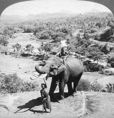 Een olifant en zijn verzorger, Sri Lanka, 1902 door Underwood and Underwood