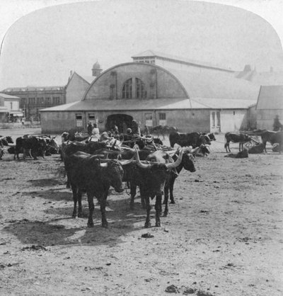 Gebouw waarin krijgsgevangenen werden berecht, Pretoria, Zuid-Afrika, Boerenoorlog door Underwood and Underwood
