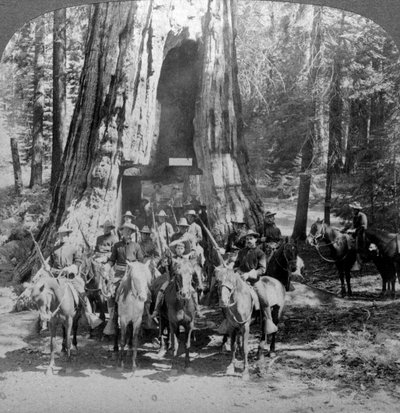 Cavalerie die door de grote boom Californië trekt, Californië, VS door Underwood and Underwood