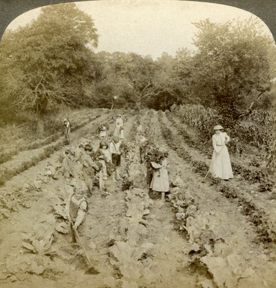 Kinderen werken in een moestuin, Salvation Army Home, Spring Valley, New York, VS door Underwood and Underwood