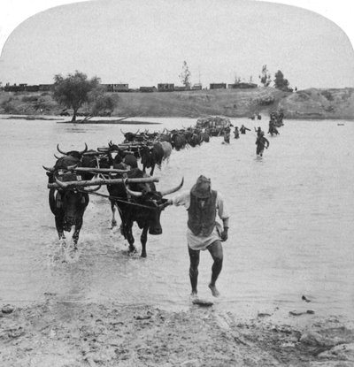 Doorwaden van de Modderrivier, Boerenoorlog, Zuid-Afrika, 15 februari 1901 door Underwood and Underwood