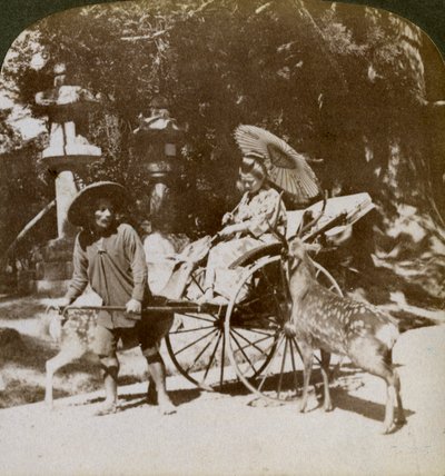 Meisje dat Heilige Herten Voert op Weg naar Gebeden, Gronden van de Kasuga Tempel, Nara, Japan door Underwood and Underwood