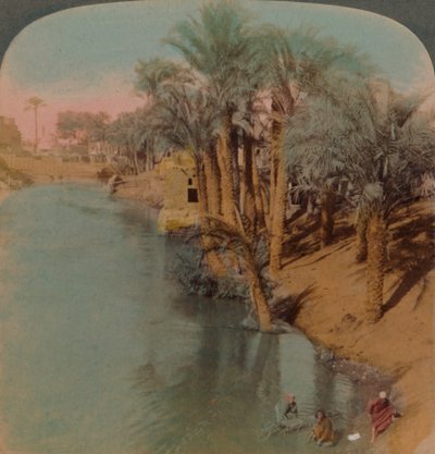 In de Fayum, de rijkste oase in Egypte aan de Bahr Yussef rivier Jozef, naar de Nijl, 1902 door Underwood and Underwood