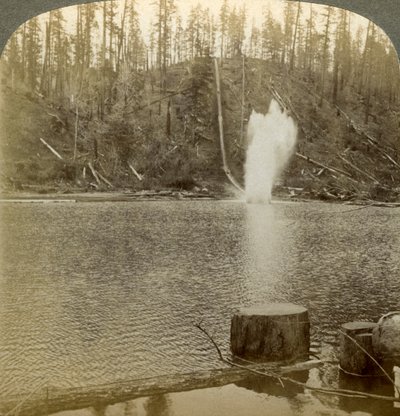 Boomstamgoot, Oregon, VS door Underwood and Underwood