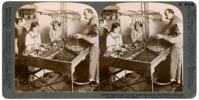 Zijdeproductie, Syrië, 1900s door Underwood and Underwood
