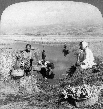Mannen die Riet Verzamelden bij Suzukawa, Fujiyama, Japan door Underwood and Underwood
