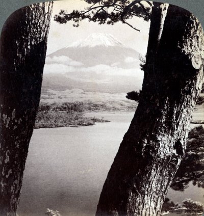 Mount Fuji, gezien vanuit het noordwesten, door dennen bij Lake Motosu, Japan, 1904 door Underwood and Underwood