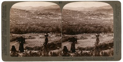 De heuvel van Samaria, vanuit het zuiden, omgeven door vijgen- en olijfboomgaarden, Palestina, 1900 door Underwood and Underwood