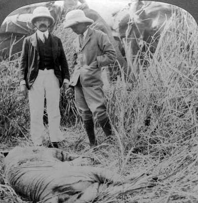 De dode menseneter, Behar jungle, India door Underwood and Underwood