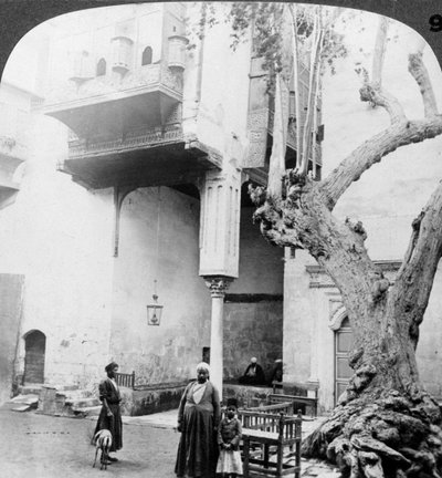De haremramen in de binnenplaats van een rijk huis in Caïro, Egypte, 1905 door Underwood and Underwood