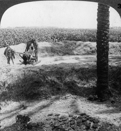 Dorsen in Egypte door Underwood and Underwood