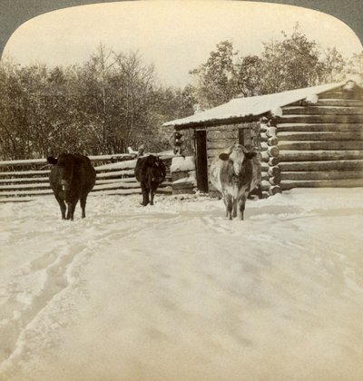 Winter op een ranch, Montana, VS door Underwood and Underwood