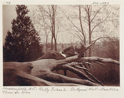 [Beatrice Thom on Tree, Haddonfield, New Jersey]. door Unidentified