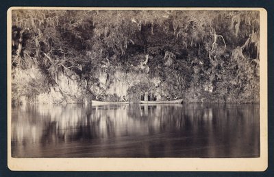 [Onder de Bluffs van de Withlacoochee Rivier, Florida]. door Unidentified