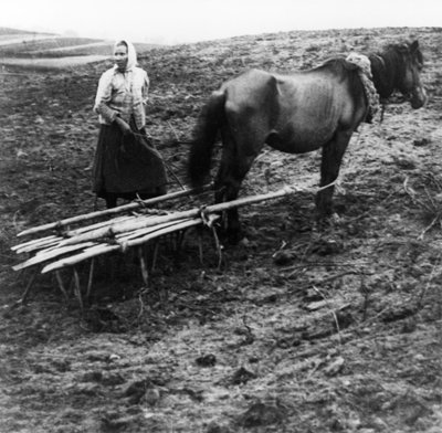 Een boerin met paard die de grond bewerkt op een boerderij in het dorp Voronovo aan de Wolga in pre-revolutionair Rusland, 1900 door Unknown