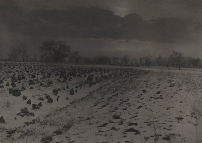 Veld van Kool onder Sneeuw door Unknown