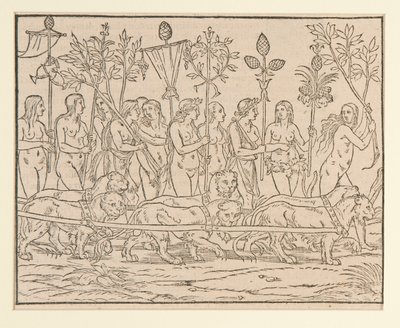 Pagina uit een kopie na Colonna door Unknown